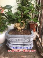 29 chậu trồng cây kiểng bằng đá giá rẻ tại Bình Định