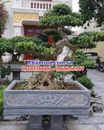 Mẫu chậu trồng cây bonsai bằng đá bán chạy tại Quảng Ngãi