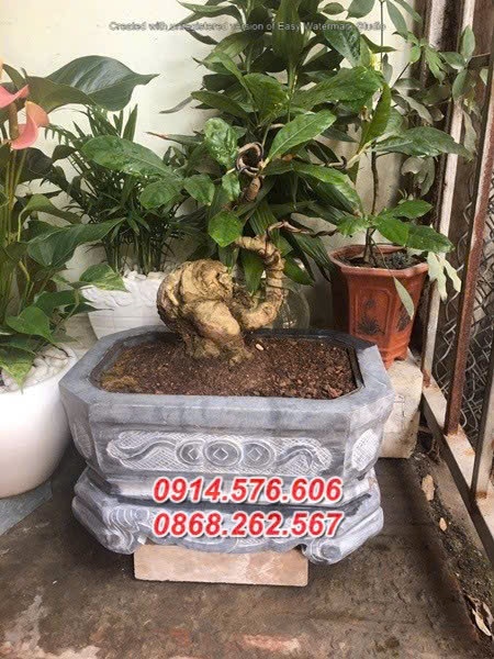 Mẫu Chậu Đá Trong Sân Vườn Đẹp, Kích Thước Chậu Đá Xanh Tự Nhiên, Cơ Sở Sản Xuất Chậu Bể Đá Trồng Cây Cảnh, Đại Lý Bán Chậu Bể Đá Cổ Phong Thủy, Top Chậu Bể Đá Xanh Đen Cao Cấp Nuôi Cá, Mẫu Chậu Bể Đá Bằng Xi Măng Đẹp, Mẫu Chậu Bể Hình Vuông Trồng Sen Bằng Đá Nguyên Khối, Giá Bán Chậu Bể Hình Tròn Ngoài Trời Bằng Đá, Mẫu Chậu Bể Đá Tự Nhiên Dành Cho Biệt Thự, Giếng Đá Giả Cổ Nguyên Khối Đẹp