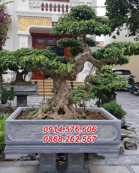 Mẫu Chậu Đá Trong Sân Vườn Đẹp, Kích Thước Chậu Đá Xanh Tự Nhiên, Cơ Sở Sản Xuất Chậu Bể Đá Trồng Cây Cảnh, Đại Lý Bán Chậu Bể Đá Cổ Phong Thủy, Top Chậu Bể Đá Xanh Đen Cao Cấp Nuôi Cá, Mẫu Chậu Bể Đá Bằng Xi Măng Đẹp, Mẫu Chậu Bể Hình Vuông Trồng Sen Bằng Đá Nguyên Khối, Giá Bán Chậu Bể Hình Tròn Ngoài Trời Bằng Đá, Mẫu Chậu Bể Đá Tự Nhiên Dành Cho Biệt Thự, Giếng Đá Giả Cổ Nguyên Khối Đẹp