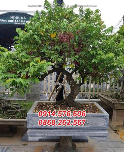 34 Điêu Khắc Chậu Bể Đá Trồng Cây Bán Phú Yên