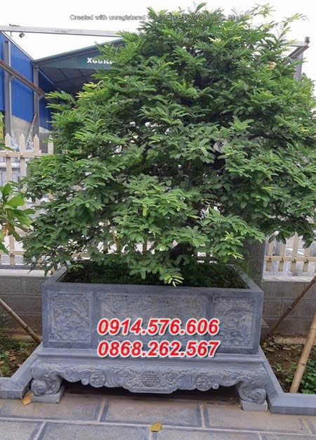 34 Điêu Khắc Chậu Bể Đá Trồng Cây Bán Phú Yên