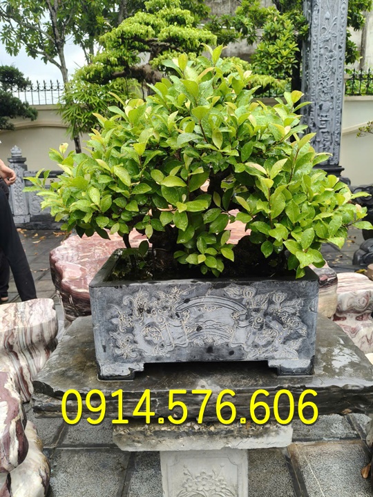 Mẫu Chậu Đá Trong Sân Vườn Đẹp, Kích Thước Chậu Đá Xanh Tự Nhiên, Cơ Sở Sản Xuất Chậu Bể Đá Trồng Cây Cảnh, Đại Lý Bán Chậu Bể Đá Cổ Phong Thủy, Top Chậu Bể Đá Xanh Đen Cao Cấp Nuôi Cá, Mẫu Chậu Bể Đá Bằng Xi Măng Đẹp, Mẫu Chậu Bể Hình Vuông Trồng Sen Bằng Đá Nguyên Khối, Giá Bán Chậu Bể Hình Tròn Ngoài Trời Bằng Đá, Mẫu Chậu Bể Đá Tự Nhiên Dành Cho Biệt Thự, Giếng Đá Giả Cổ Nguyên Khối Đẹp
